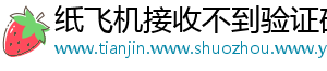 纸飞机接收不到验证码